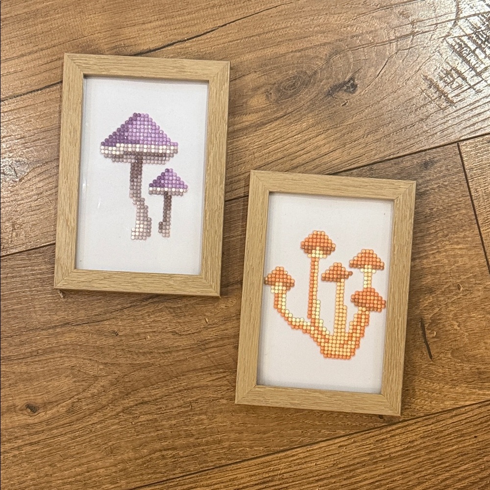 Gem Mushroom Art Set